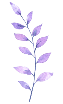 Foliage watercolor, Beautiful leaf watercolor element png