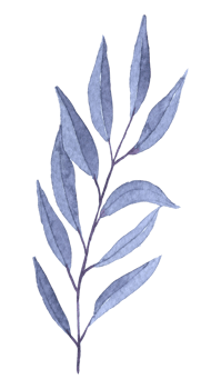 Foliage watercolor, Beautiful leaf watercolor element png