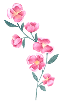 Wildflower watercolor, Beautiful flower watercolor element png