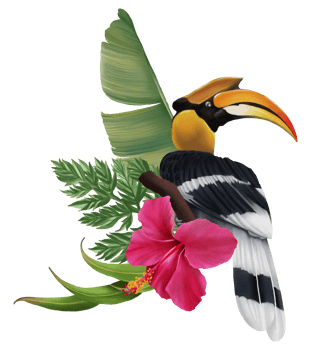 Tropical composition with bird watercolor hand paint png