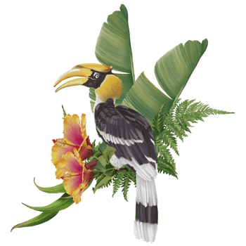 Tropical composition with bird watercolor hand paint png