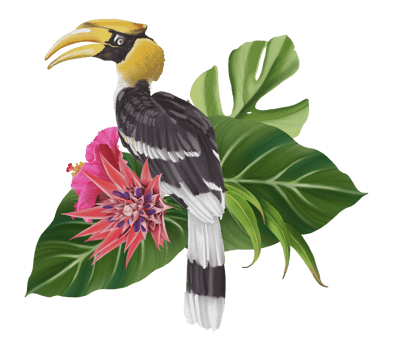Tropical composition with bird watercolor hand paint png