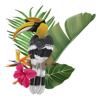Tropical composition with bird watercolor hand paint png