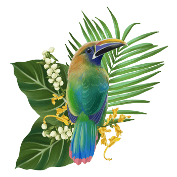 Tropical composition with bird watercolor hand paint png