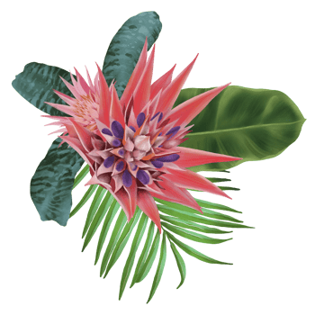 Tropical flower composition watercolor hand paint png