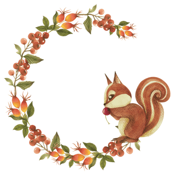 Autumn watercolor composition, Autumn flower bouquet, Thanksgiving day png