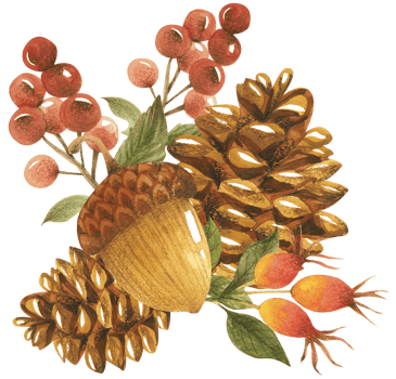 Autumn watercolor composition, Autumn flower bouquet, Thanksgiving day png