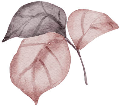 Thanksgiving autunm fall watercolor clipart png