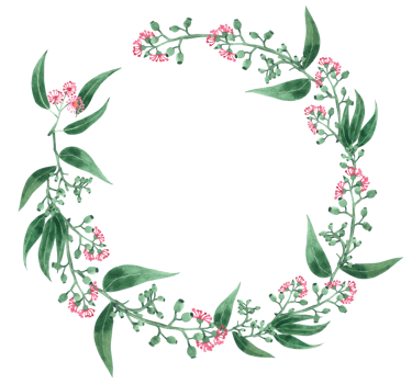 Eucalyptus watercolor wreath png