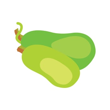 Vector illustration of a bottle gourd on a white background.