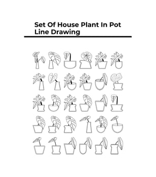 Set of House plant in pot line drawing vector