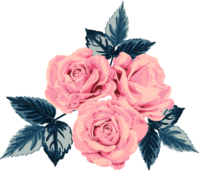 Botanical drawing with pink pastel rose flower. png
