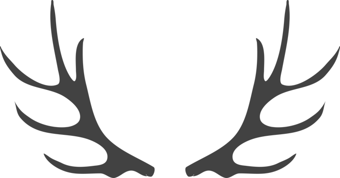 animal silhouettes isolated on transparent background png