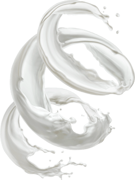 Milk splash isolated with clipping path png