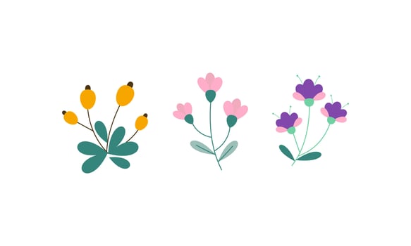 Set of Spring Flowers Collection vector
