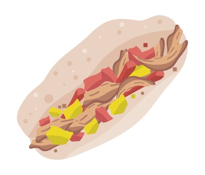 fresh burrito mexican vector