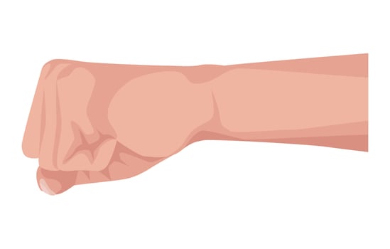 hand human fist vector