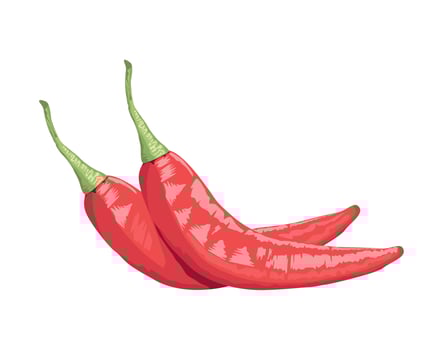 healthy chili peppers vegetable vector