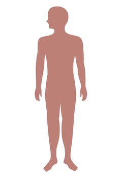 silhouette human body pink vector