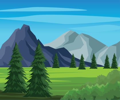 coniferus trees in the camp vector
