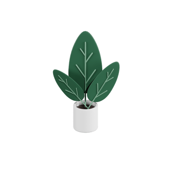 Calathea Plant 3D Illustrations png