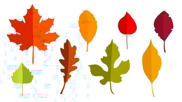 Hello, Autumn. Set of autumn leaves in paper cut style. Template for the design of banners, posters, advertising, postcards, sales. Vector illustration