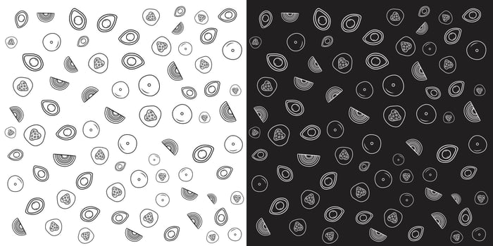 Avocado, Cucumber, Onion and Potato. vector illustration