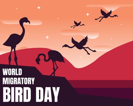 illustration vector graphic of flamingo birds are on the beach at dusk, perfect for world migratory bird day, celebrate, greeting card, etc.