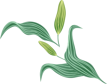 flowers and leaf png