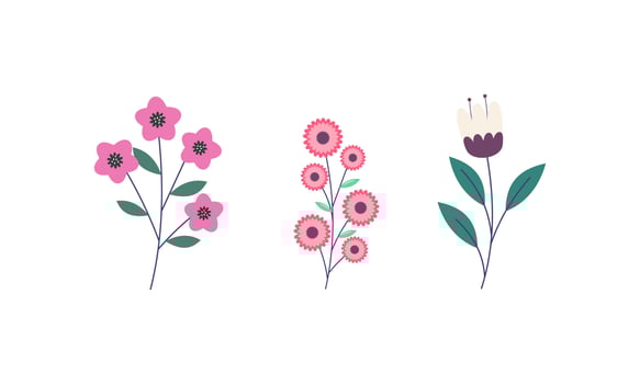 Set of Spring Flowers Collection vector