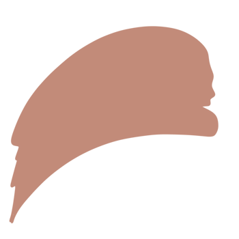 Organic blob shape png