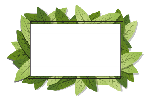Geometric nature frame with leaves. Transparent background. Illustration png