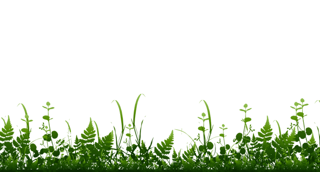 Bright green realistic seamless grass border isolated background. Transparent background. Illustration png