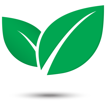 Leaf icon vector png