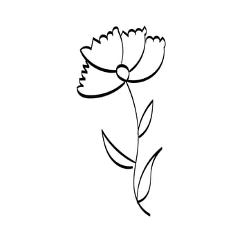 Flowers and herbs isolated on white background vector