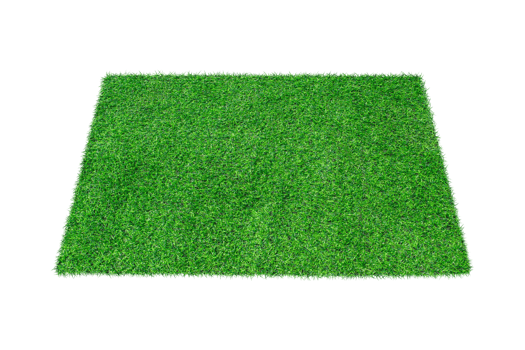 Artificial green carpet grass isolated png