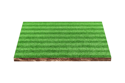 Green grass soccer or football field isolated png