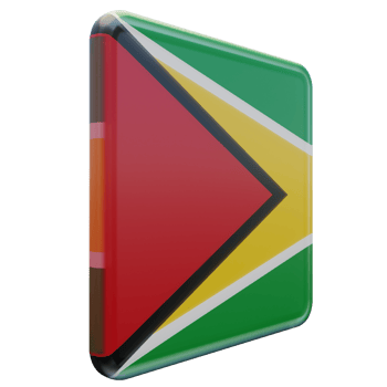 Guyana Left View 3d textured glossy square flag png