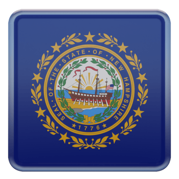 New Hampshire 3d textured glossy square flag png