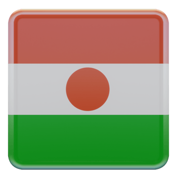 Niger 3d textured glossy square flag png