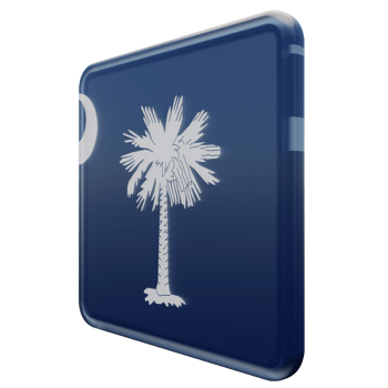 South Carolina Right View 3d textured glossy square flag png