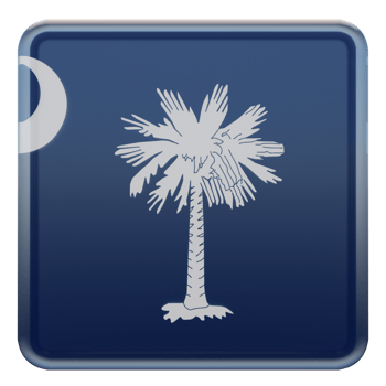 South Carolina 3d textured glossy square flag png