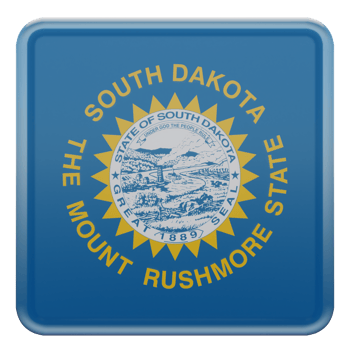 South Dakota 3d textured glossy square flag png