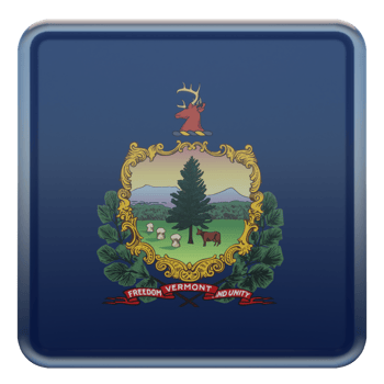 Vermont 3d textured glossy square flag png