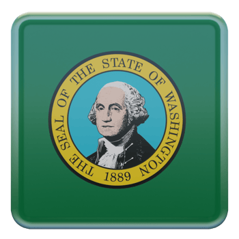 Washington 3d textured glossy square flag png