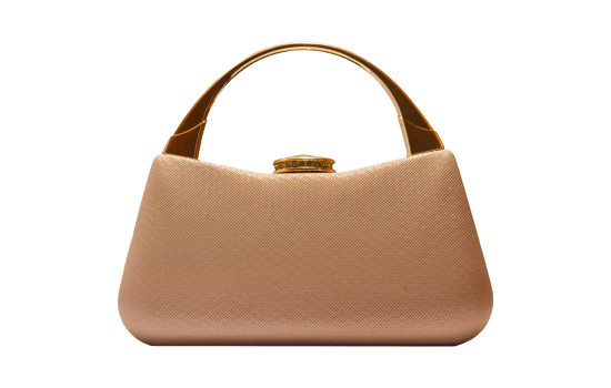Clutch bag, Female bag Isolated. png
