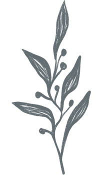 Aesthetic flower plant leaves png