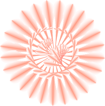 Sweeties cute blossom flower bloom decoration abstract background symbol pattern illustration png