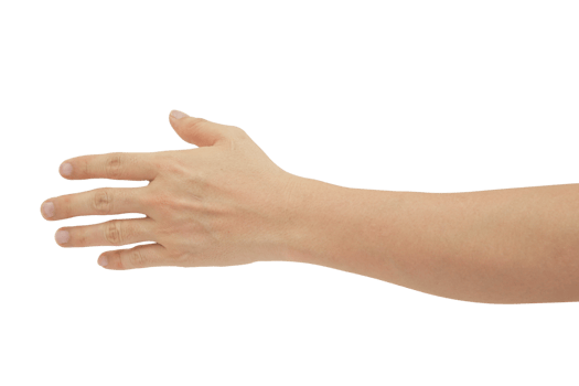 Man hand gesture isolated. png