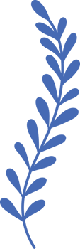 flower illustration on transparent background png
